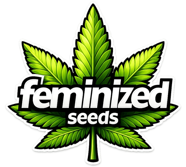 Feminized cannabis seeds - shop 1000+ strains